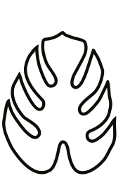 Leaf 9